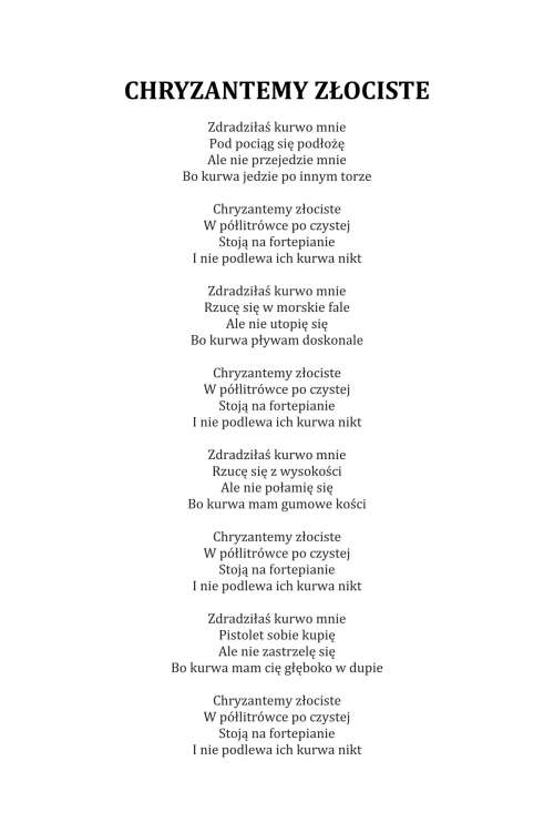 CHRYZANTEMY ZŁOCISTE